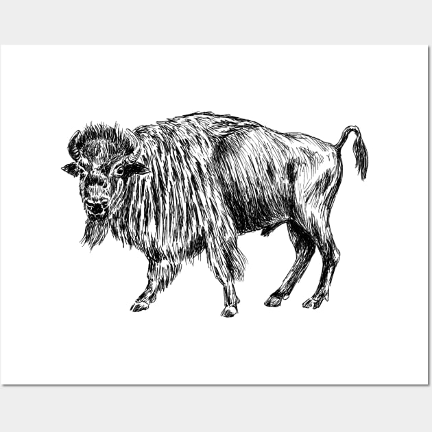 American Bison Print Wall Art by rachelsfinelines